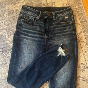 Buckle Dark Wash Distressed Skinny Jeans